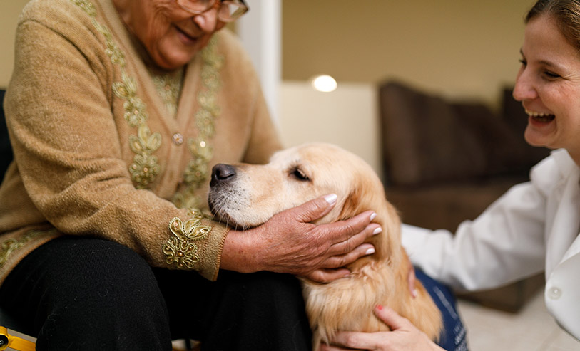 El-perro-de-terapia-divulgación-dinámica